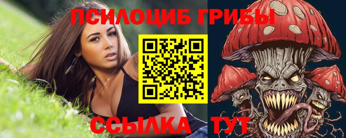 Галлюциногенные грибы мухоморы Электросталь